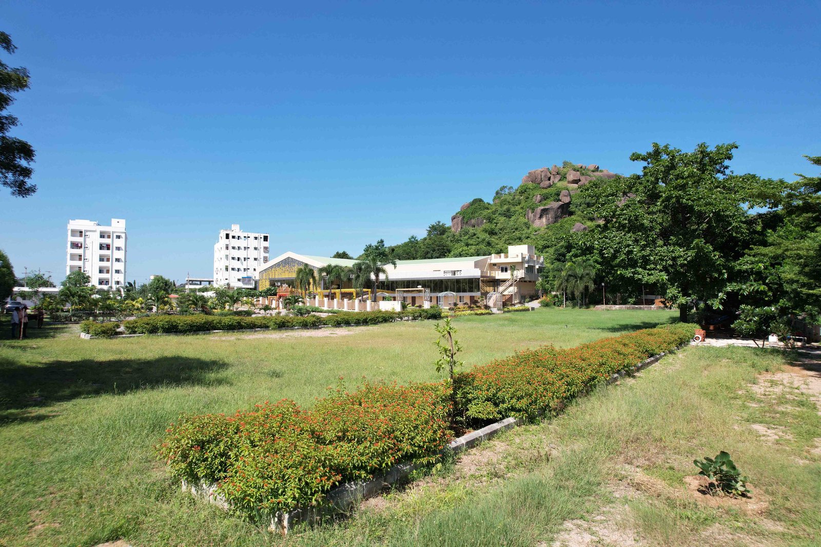 Green lawn